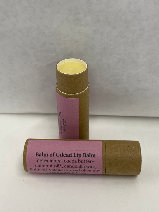 Lip Balm (Tubes)
